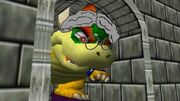 Bowser's Grandmother