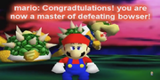 Bowser and Bowsar