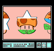 SMB3 2.png
