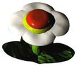 Fiore.jpg