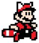 RACCOONSPRITE.jpg
