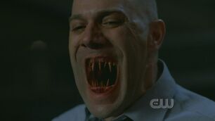 Spn314 1128.jpg