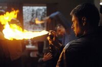 Supernatural-bugs 1213217202.jpg