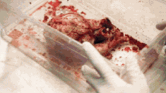 Funny-gif-be-my-valentine-supernatural.gif
