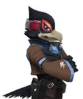 Alt-falco2