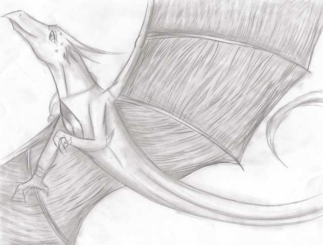 File:Dragon Drawing3.png