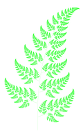 Fractal Fern Wiki 120px-Bransleys fern