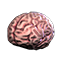 File:Ss13brain (uncommon).png