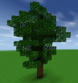 Roble