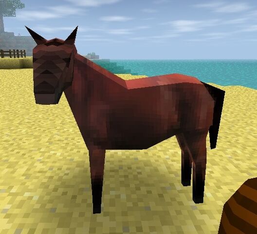 File:Bay Horse.jpg