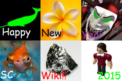 NEW YEAR!!!