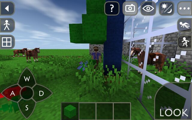 File:Survivalcraft 2015-01-17 22-18-37-.jpg