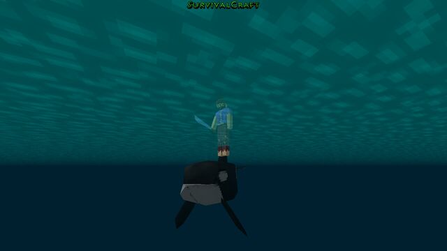 File:Orca38.jpg