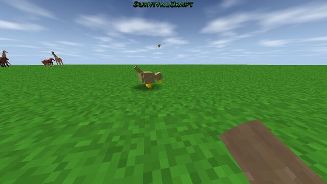 File:Duck.jpg
