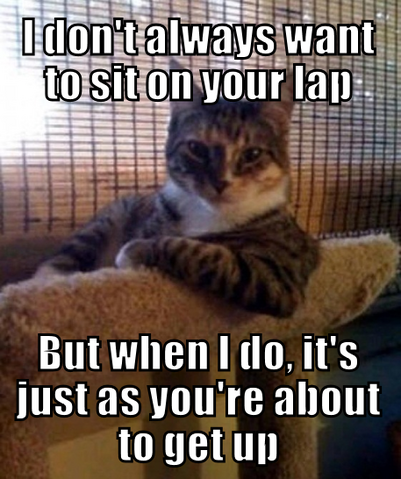 File:Meme sit lap.png
