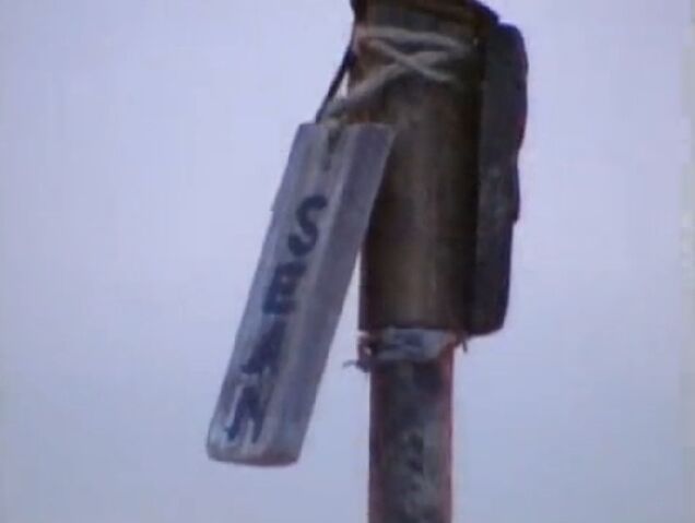 File:Sean torch.jpg
