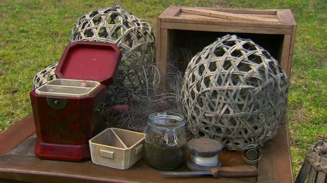 File:Survivor.S27E02.HDTV.x264-LMAO 318.jpg