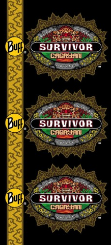 File:Solarrionbuff.png