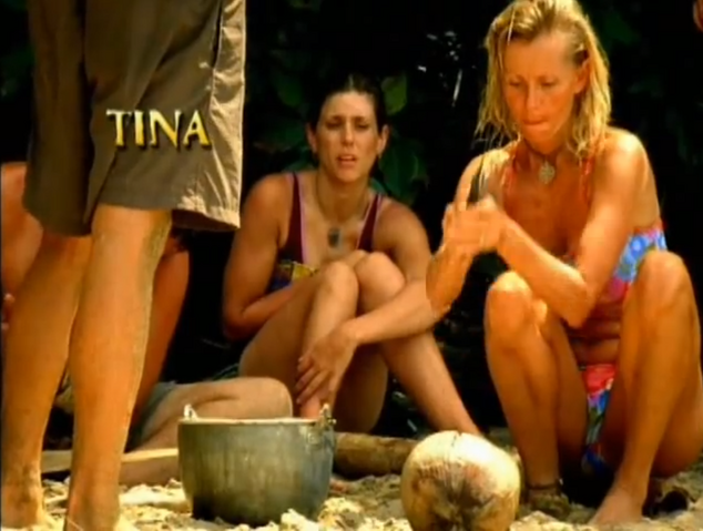 File:Tinaallstarsintrishot.png