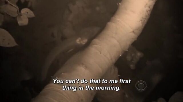 File:Survivor.s27e10.hdtv.x264-2hd 274.jpg