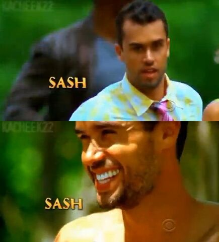 File:Sash intro.jpg