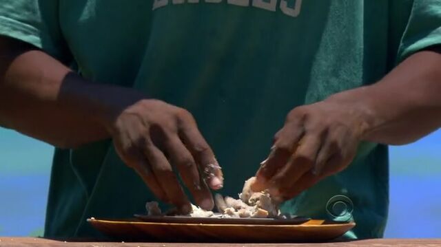 File:Survivor.S27E09.HDTV.x264-2HD 107.jpg