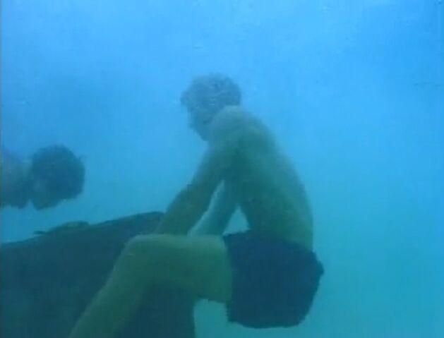 File:Greg chest 1.jpg