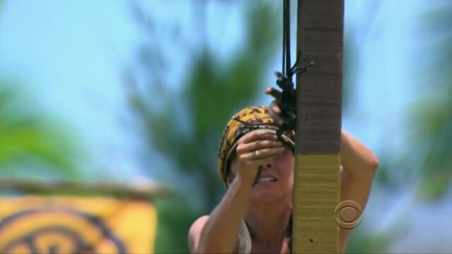 File:Survivor.S27E02.HDTV.x264-LMAO 331.jpg