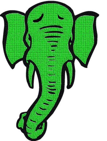 File:Bimmaahchiia insignia.png