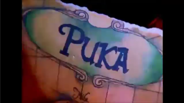 File:PukaPukaIntroShot.png