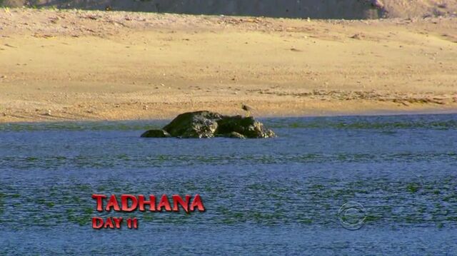 File:Survivor.S27E05.HDTV.x264-LMAO 211.jpg