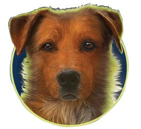 Survivors by Erin Hunter Wiki:Notable Users | Survivors by ...