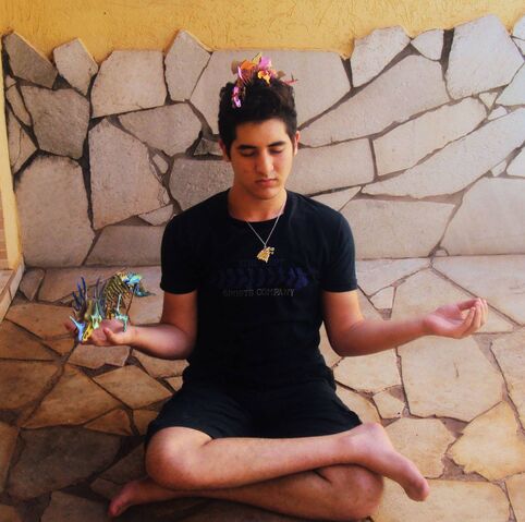 Arquivo:Meditando.jpg