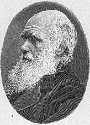 Arquivo:Darwin.jpg