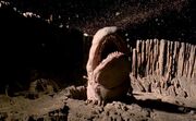 Spaceslug1