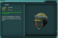 Helmet-rls