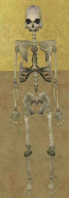 Tmp replica skeleton
