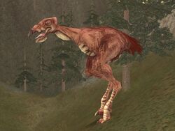 Red carrion spat