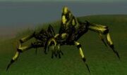 250px-Hermit spider