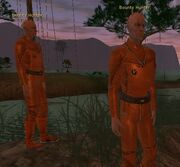Bounty Hunters