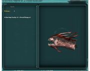 A Hunting Trophy of a Finned Blaggart Cropped