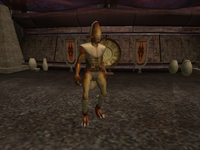 Rakata Elder