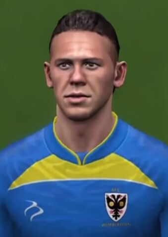 File:Demichelis.jpg
