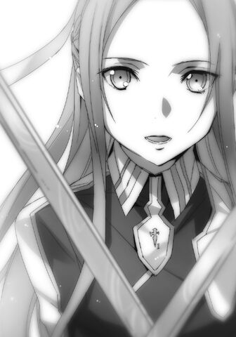 Файл:Sword Art Online Vol 10 - 216.jpg