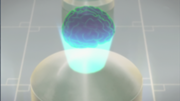 180px-Sao21brain