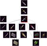 ResearchTree Dirk