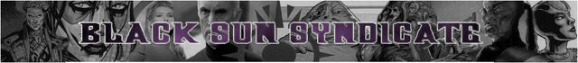 Datei:Banner bs.jpg