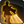 File:Ataru Form.png