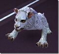 Thumbnail for version as of 03:35, December 12, 2013