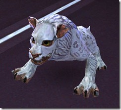 File:Arcticmankalynx.jpg